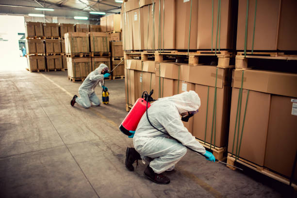 Best Local Pest Control Services  in Norwood, PA