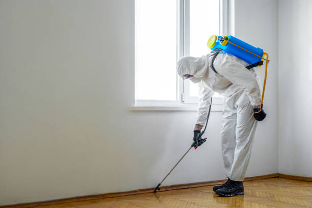 Best Commercial Pest Control Services  in Norwood, PA