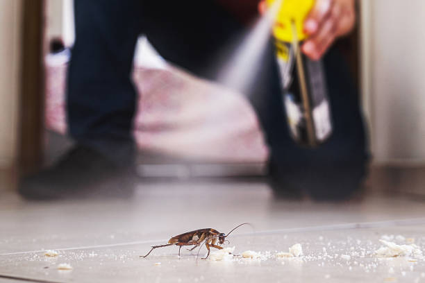 Flea Control Services in Norwood, PA